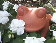 frosch.jpg (7687 Byte)